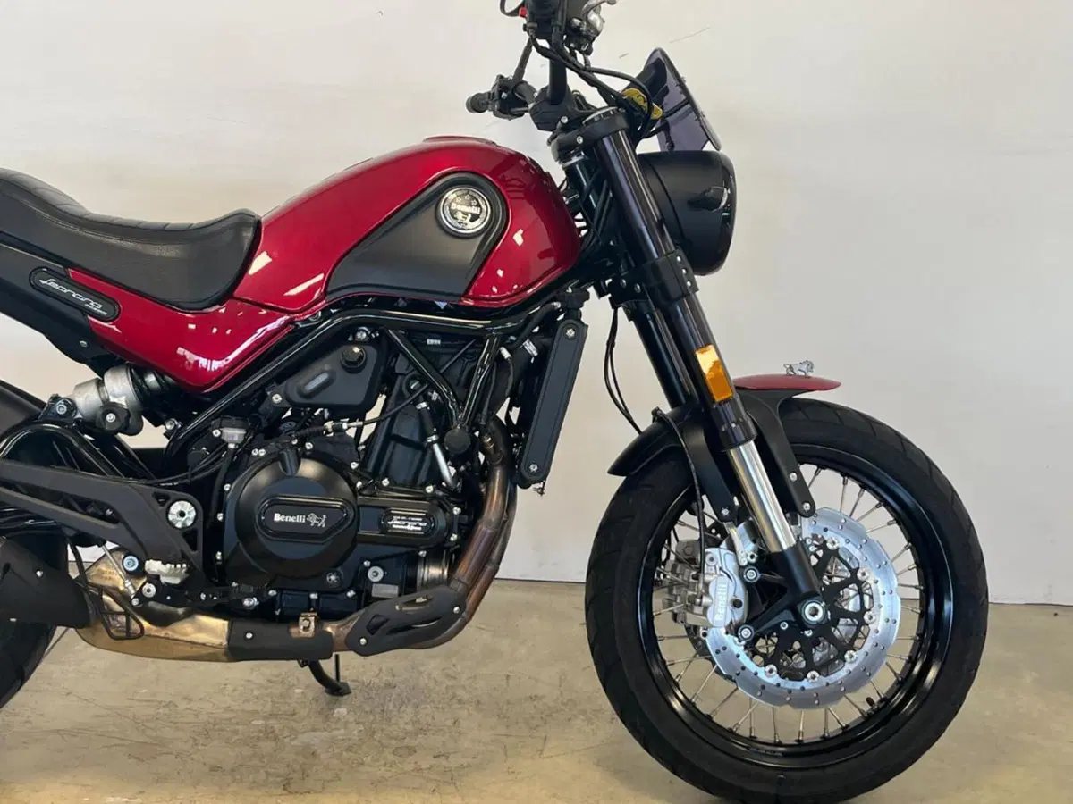 Benelli Leoncino 500 Trail ABS (2017 - 20) (5)