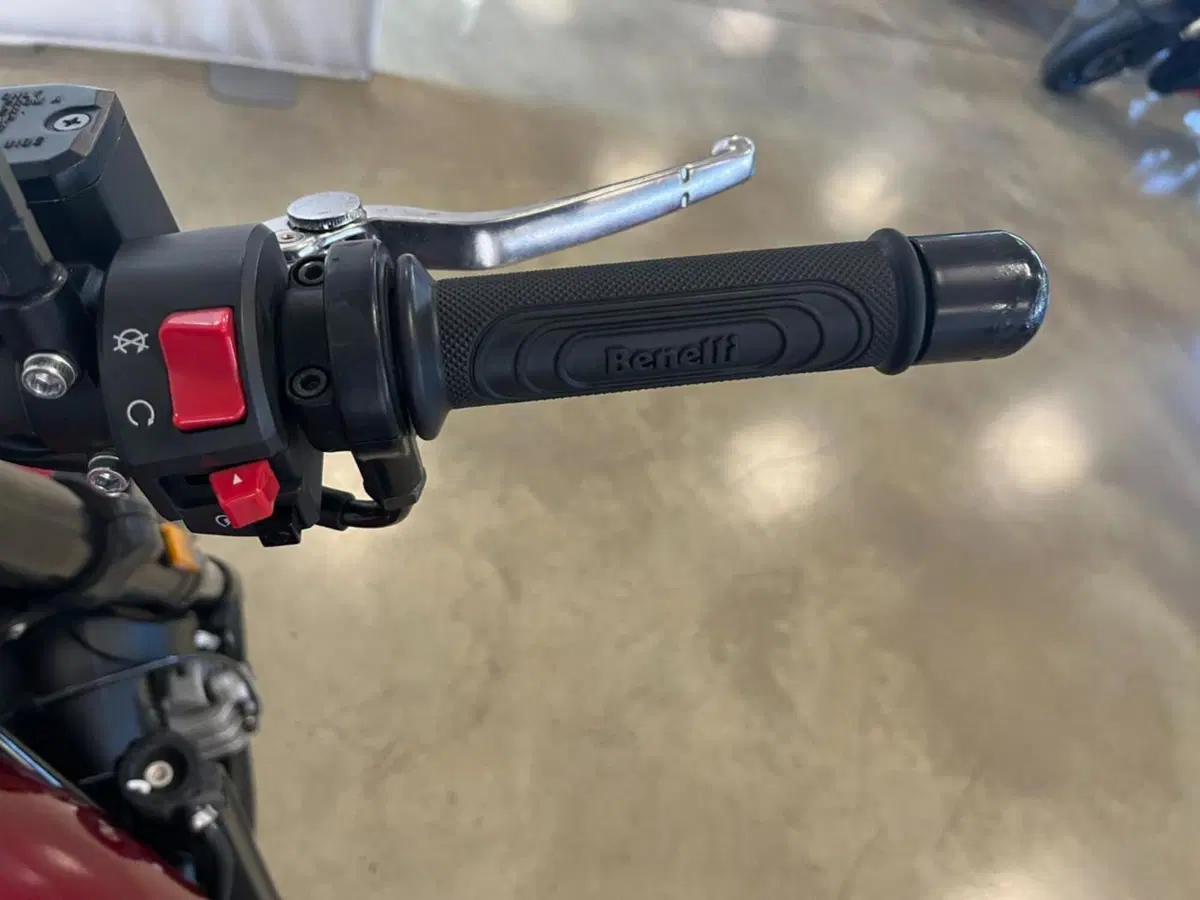 Benelli Leoncino 500 Trail ABS (2017 - 20) (10)