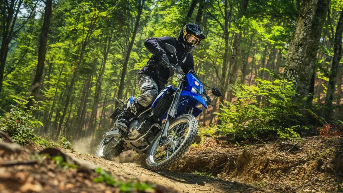 Yamaha WR 125 R (2026) (9)