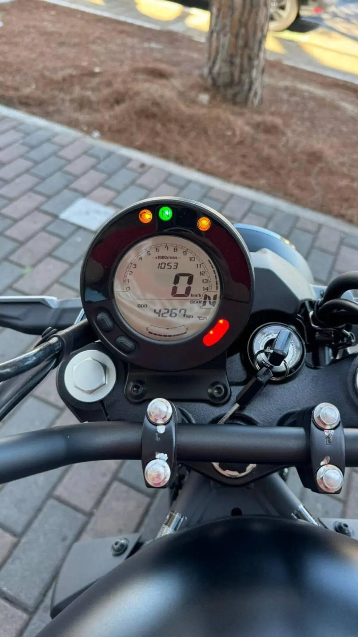 Kawasaki Eliminator 500 (2024 - 26) (5)