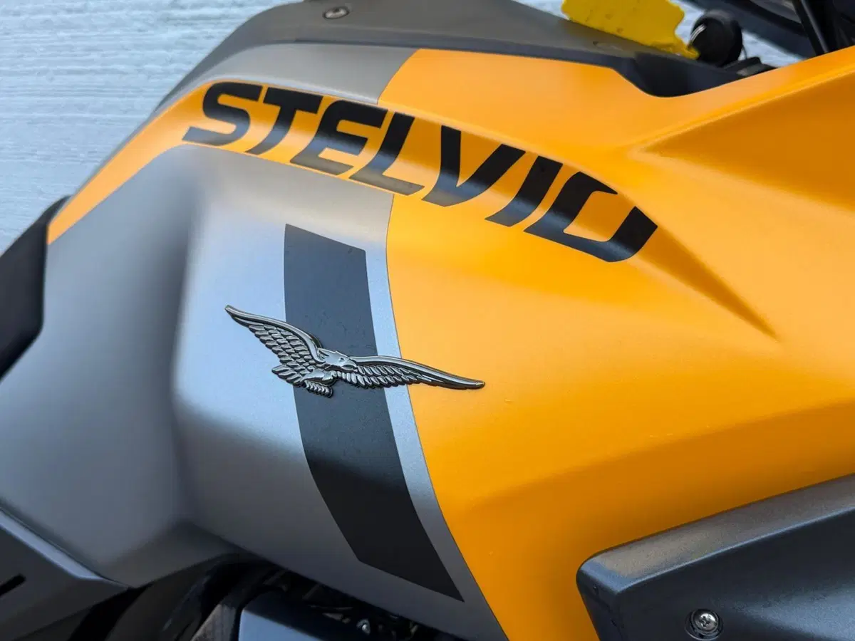 Moto Guzzi Stelvio PFF (2024 - 26) (4)