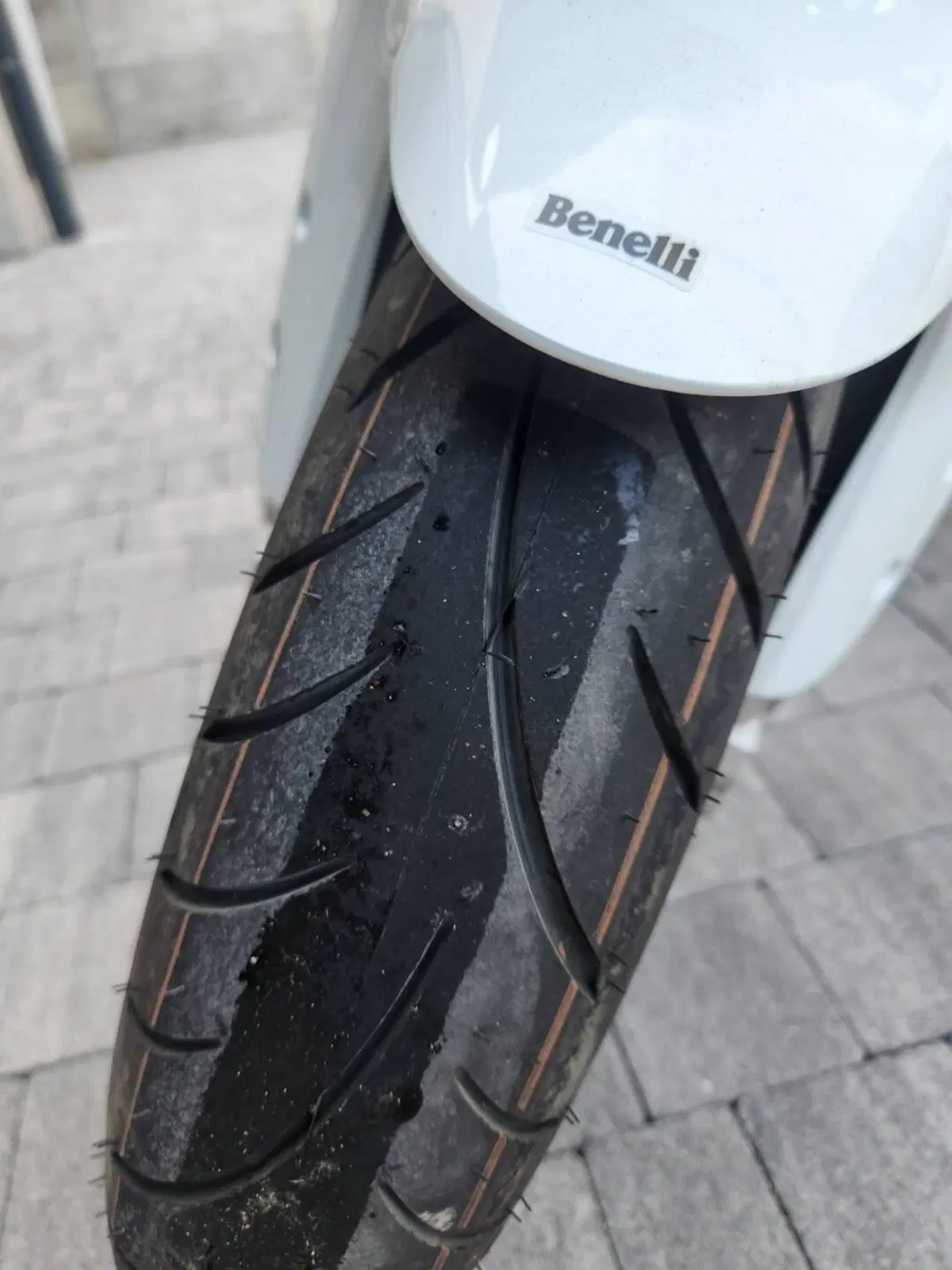 Benelli TRK 251 (2022 - 25) (3)