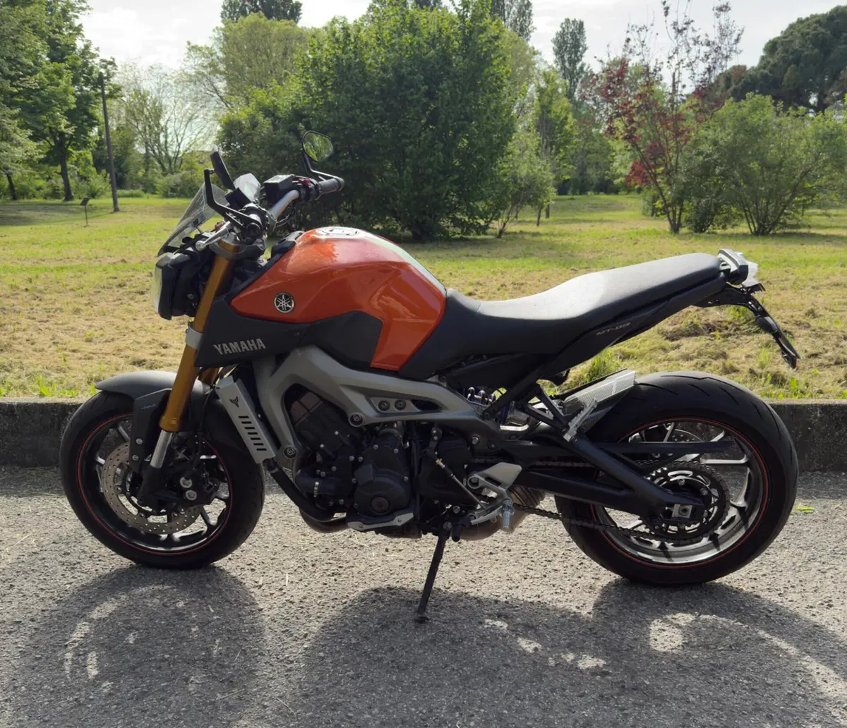 Yamaha MT-09 ABS (2013 - 15) (2)
