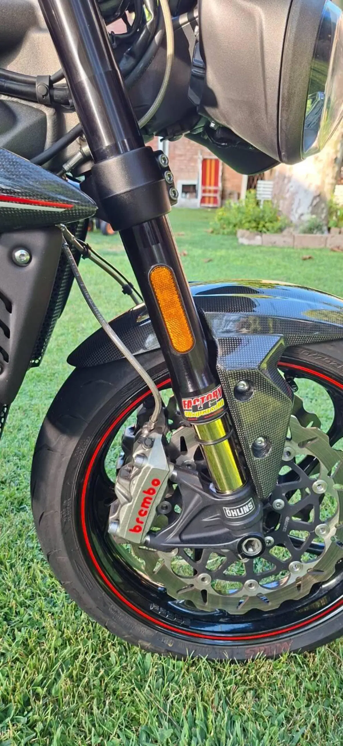 Triumph Speed Triple 1050 RS (2018 - 20) (4)