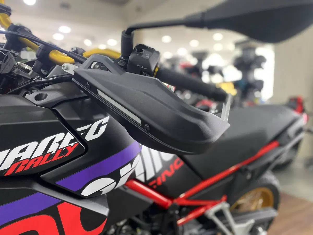 Aprilia Tuareg 660 Rally (2025 - 26) (5)
