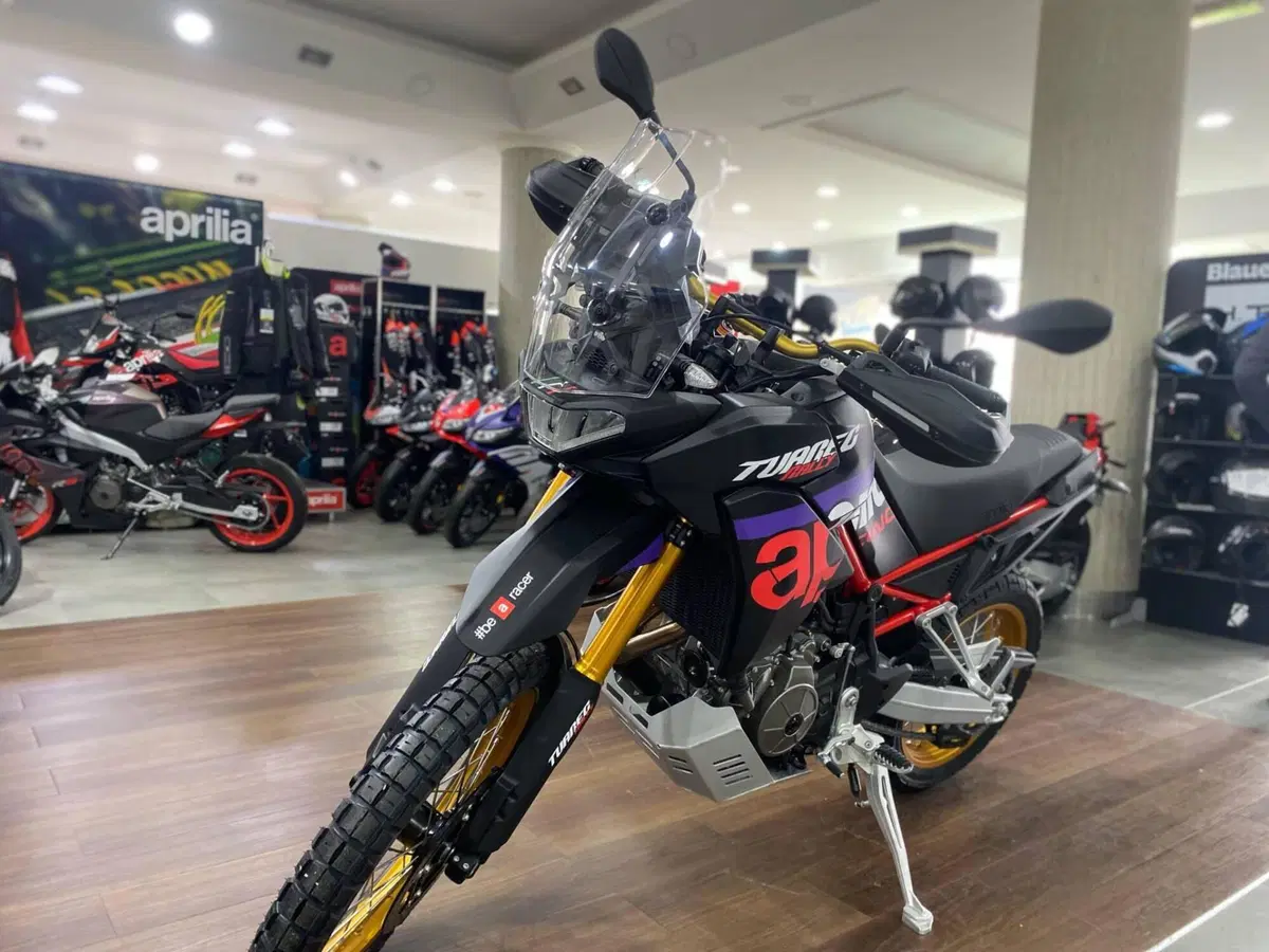Aprilia Tuareg 660 Rally (2025 - 26) (4)