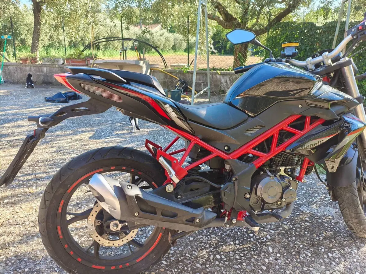 Benelli BN 125 (2018 - 20) (3)