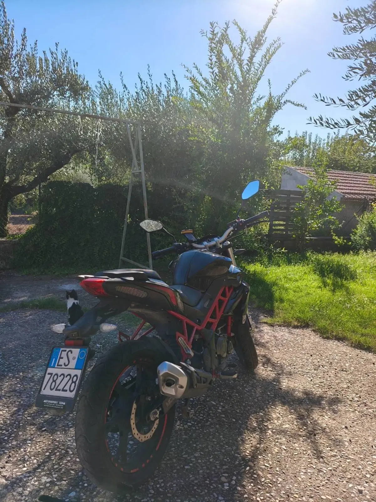 Benelli BN 125 (2018 - 20) (5)