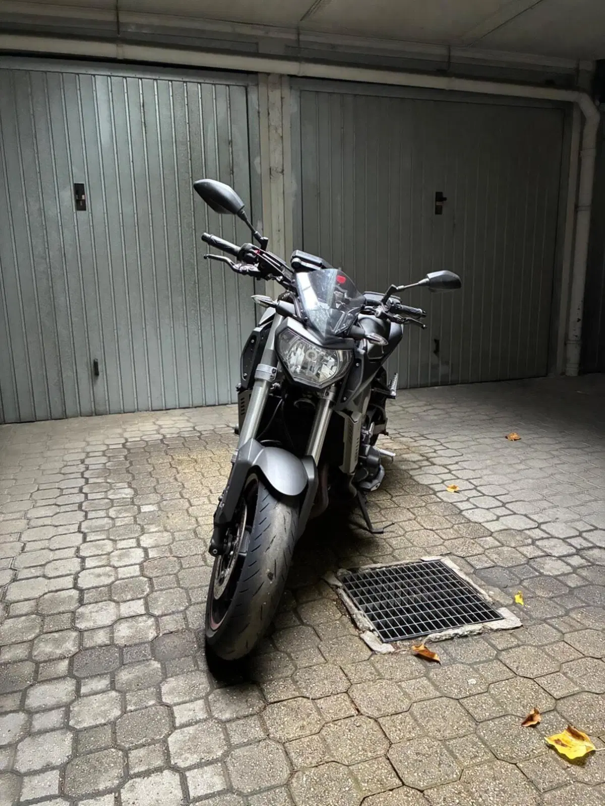 Yamaha MT-09 (2013 - 15) (3)