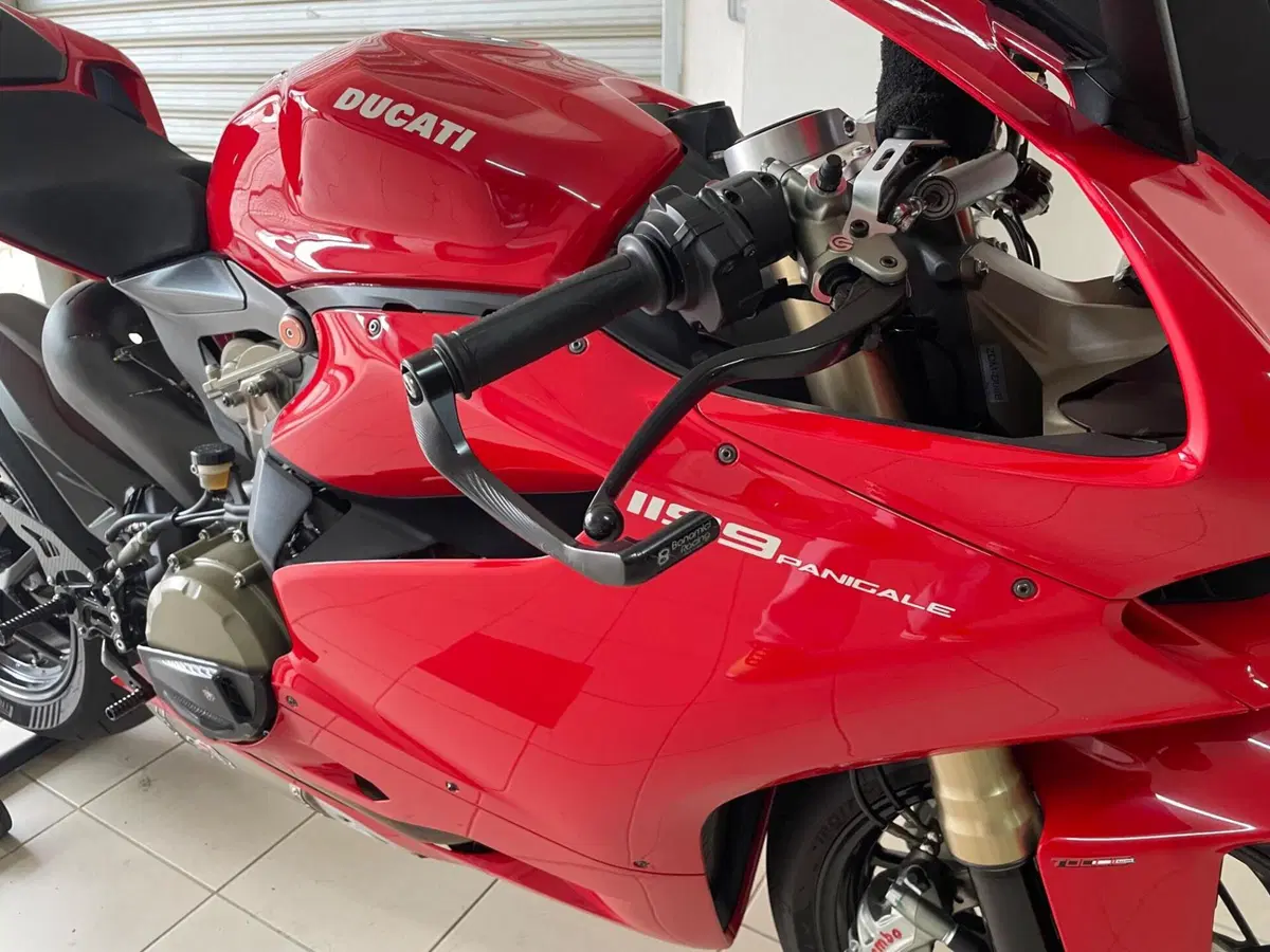 Ducati 1199 Panigale (2012 - 13) (7)
