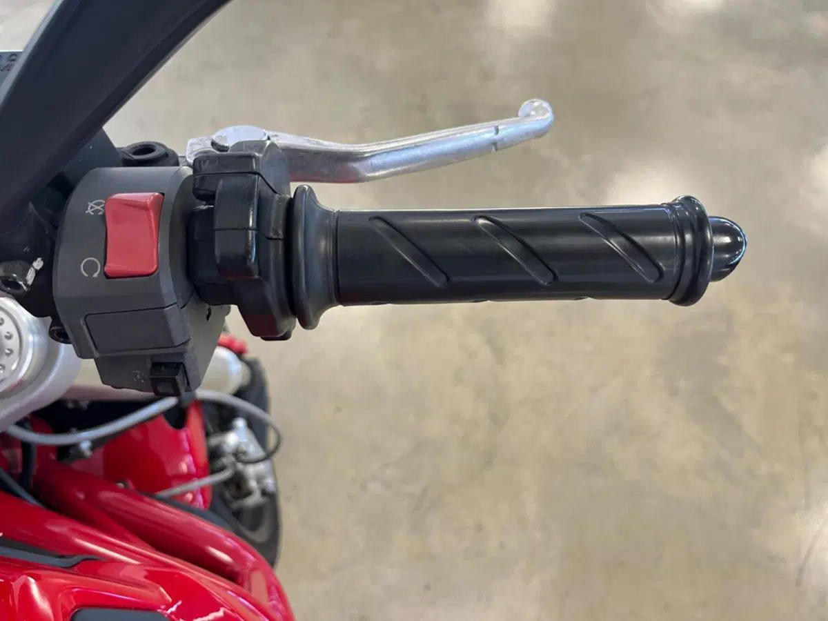 Ducati Monster 796 (2010 - 13) (11)