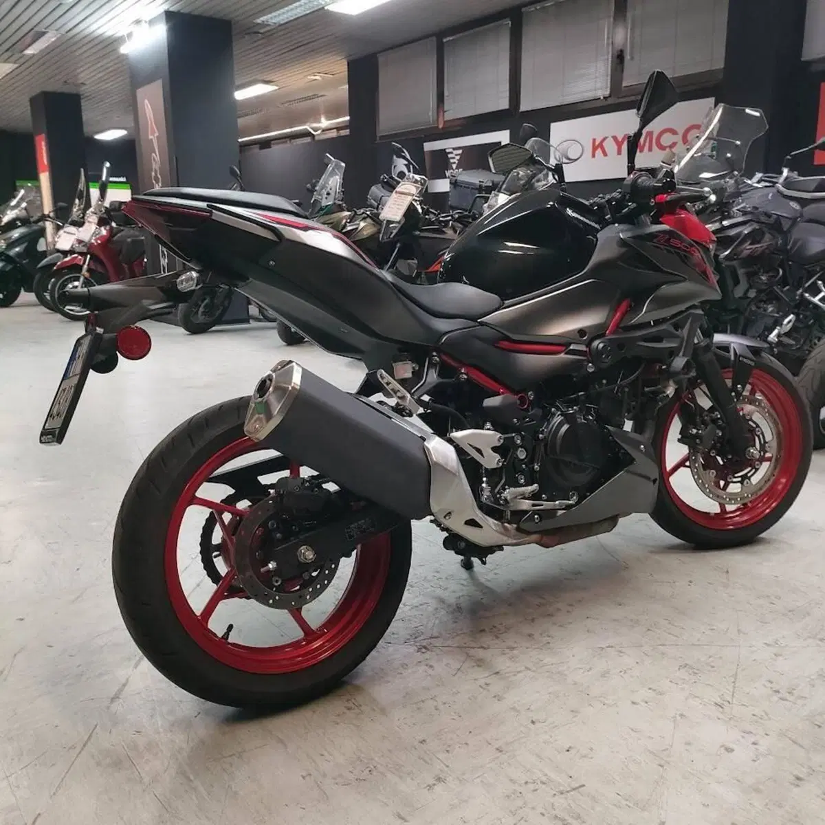 Kawasaki Z 500 SE (2024 - 26) (6)