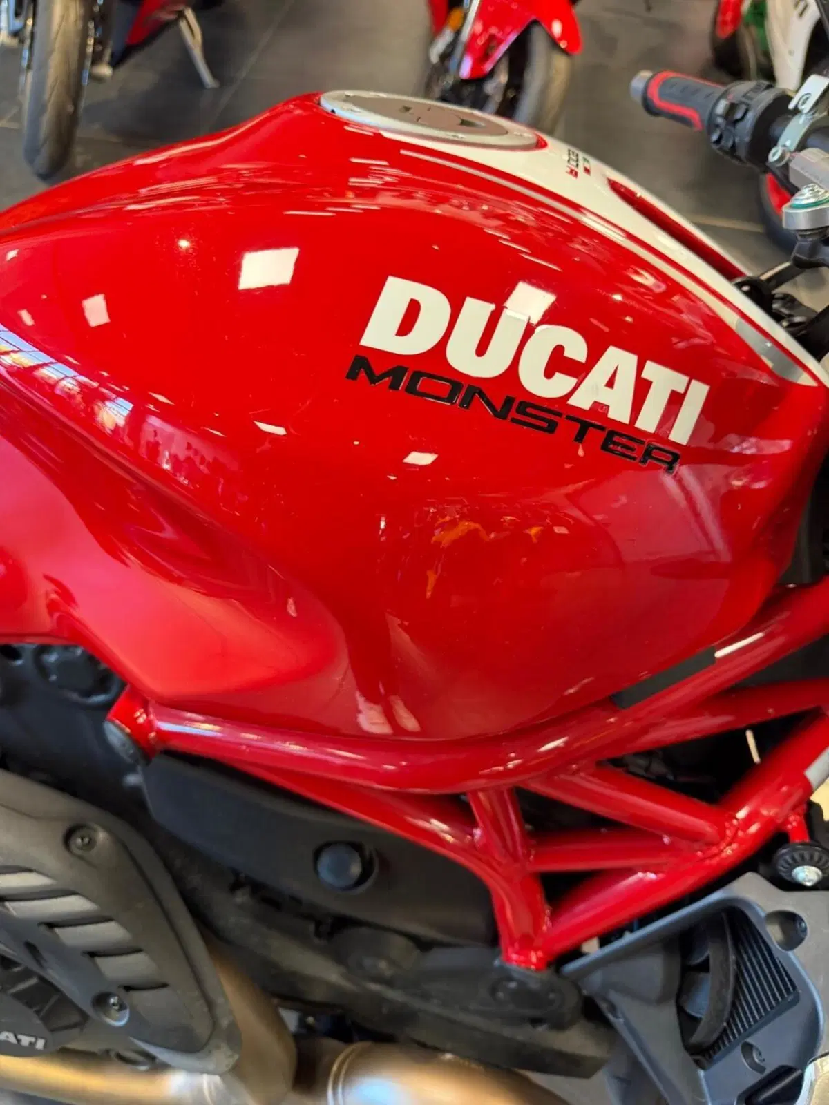 Ducati Monster 1200 R (2016 - 19) (2)