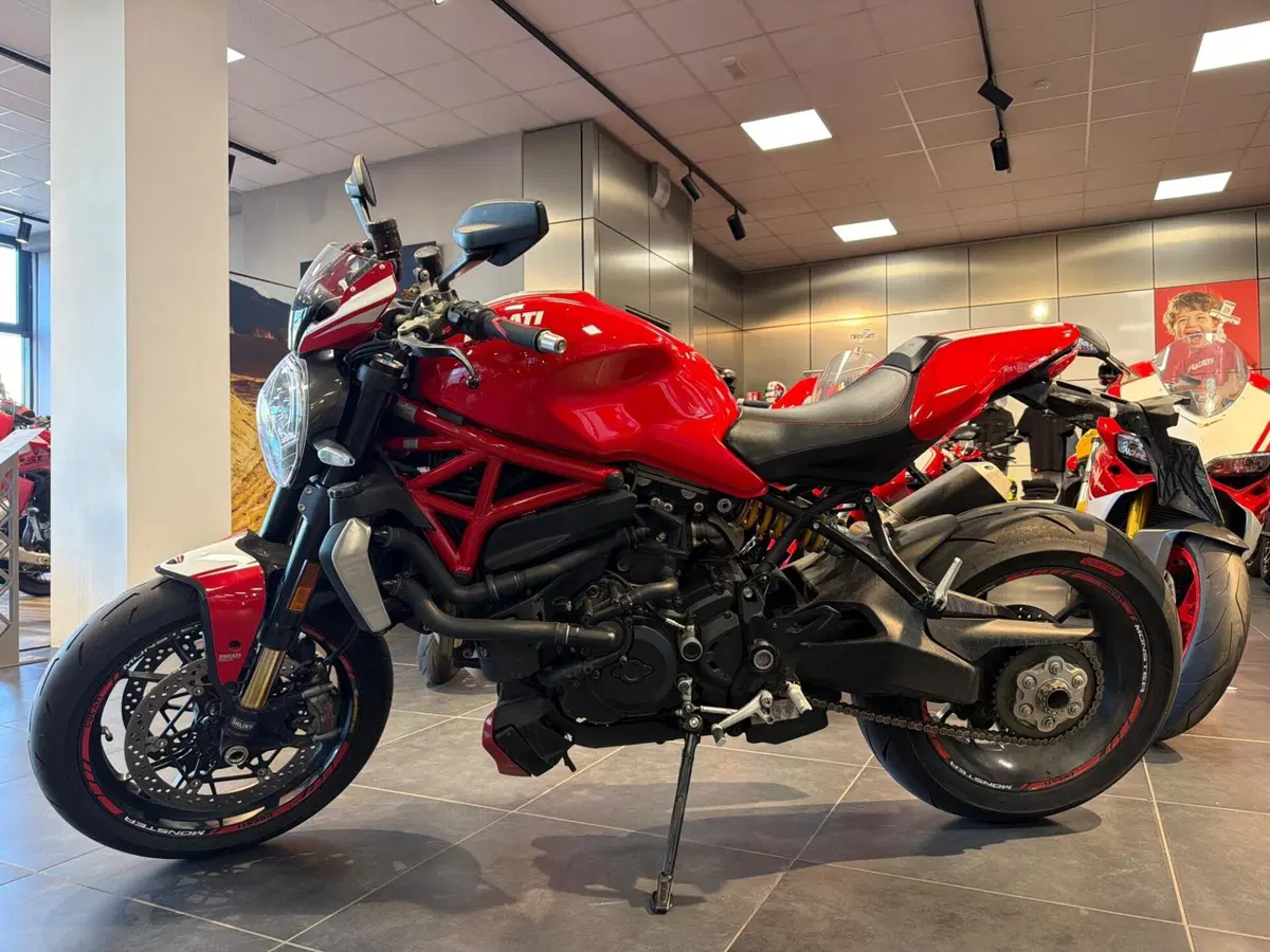 Ducati Monster 1200 R (2016 - 19) (3)