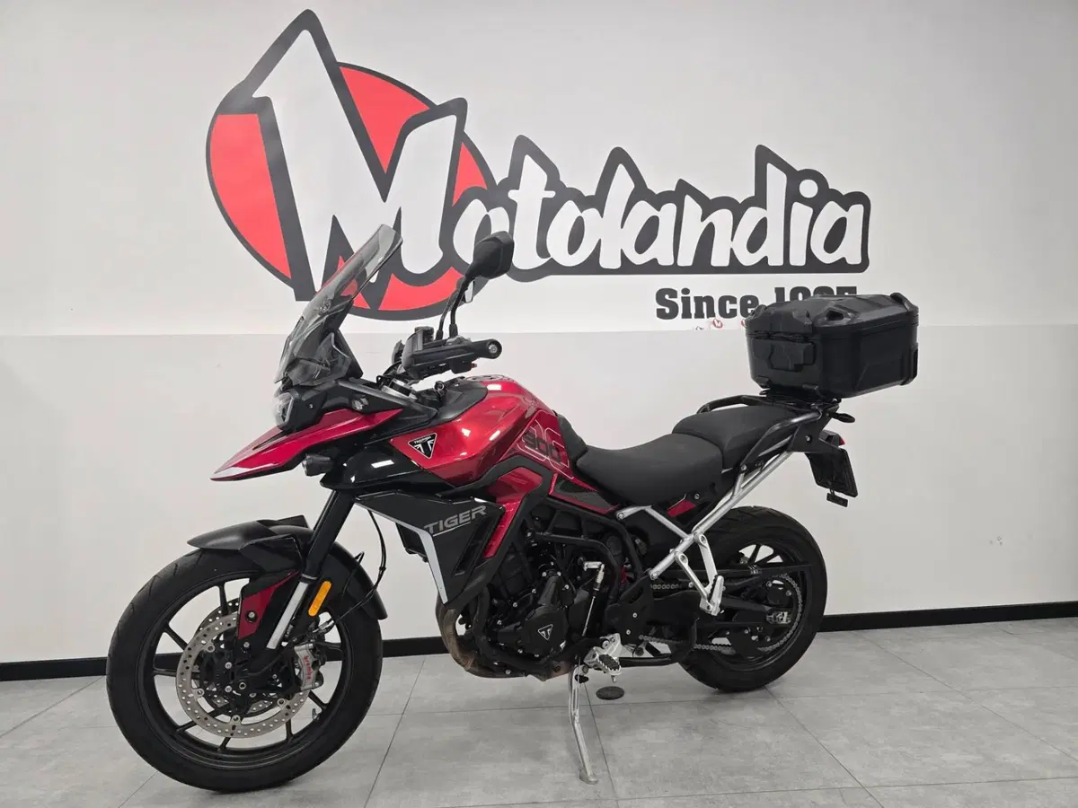 Triumph Tiger 900 GT Pro (2024 - 26) (3)