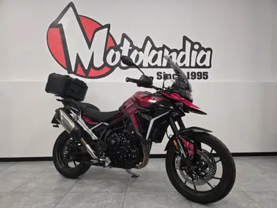 Triumph Tiger 900 GT Pro (2024 - 26) usata