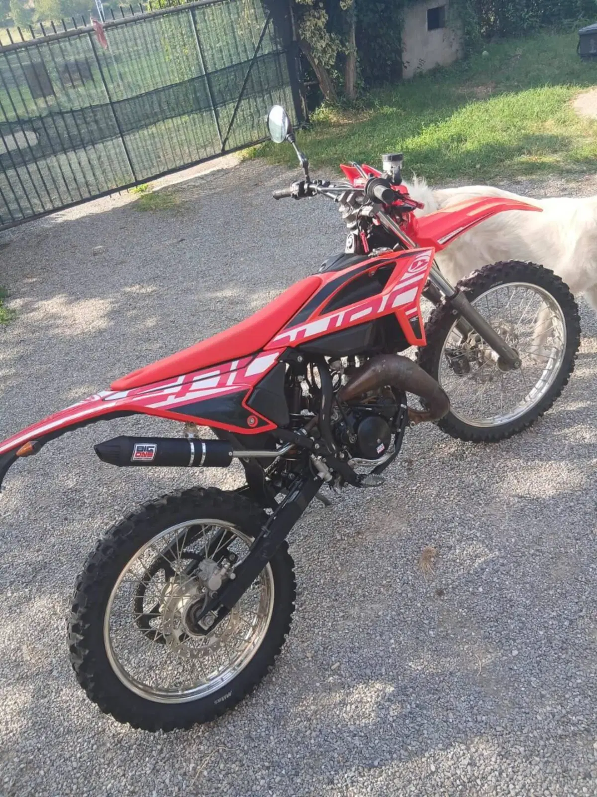 Betamotor RR 50 Enduro Sport (2021 - 26) (3)