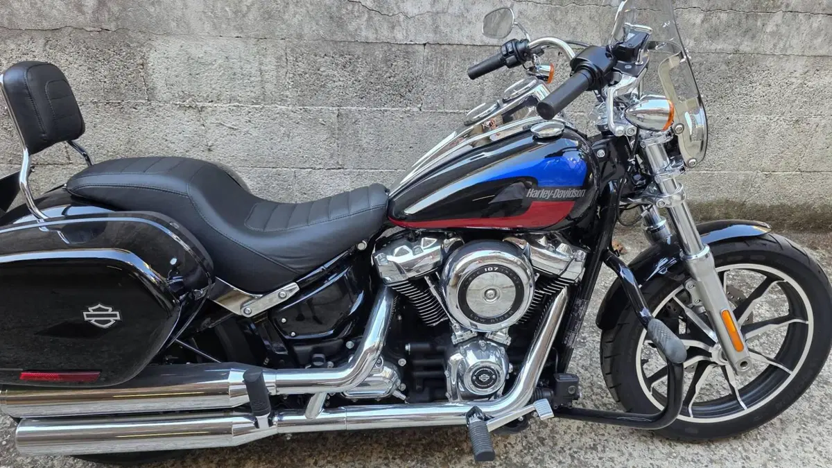 Harley-Davidson 107 Low Rider (2018 - 20) - FXLR (5)