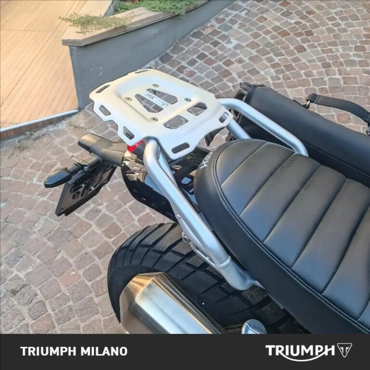 Triumph Scrambler 1200 X (2024 - 26) (3)