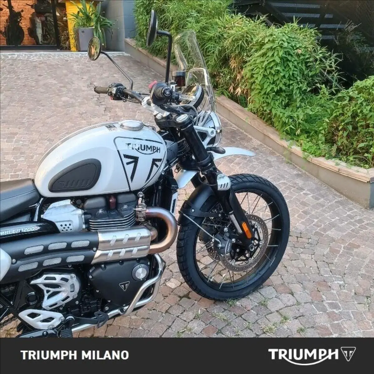 Triumph Scrambler 1200 X (2024 - 26) (5)