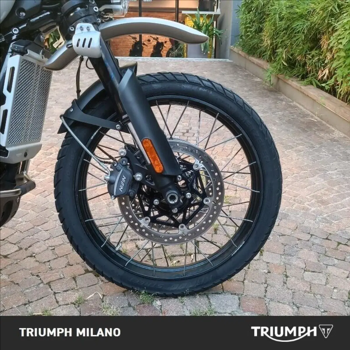 Triumph Scrambler 1200 X (2024 - 26) (9)