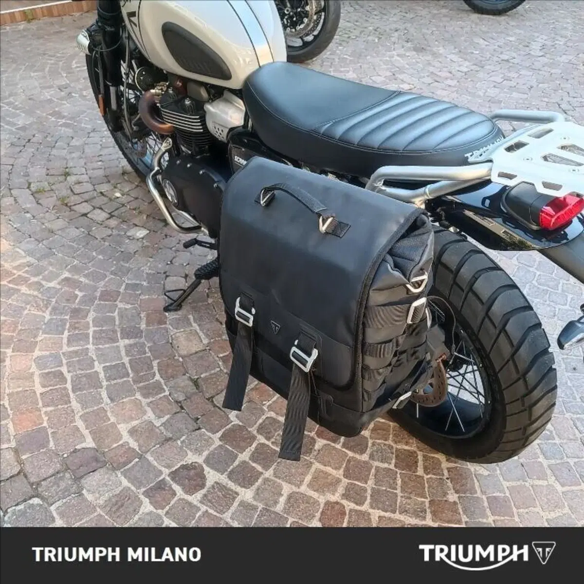 Triumph Scrambler 1200 X (2024 - 26) (4)