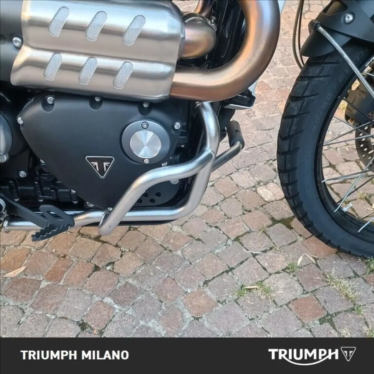 Triumph Scrambler 1200 X (2024 - 26) (7)