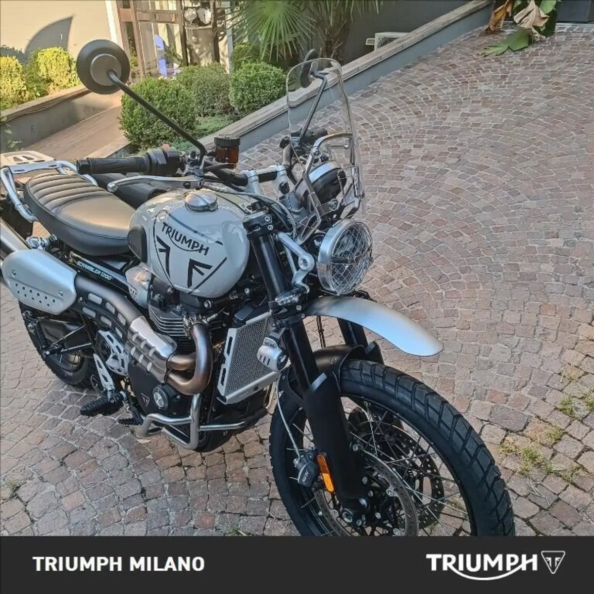 Triumph Scrambler 1200 X (2024 - 26) (6)