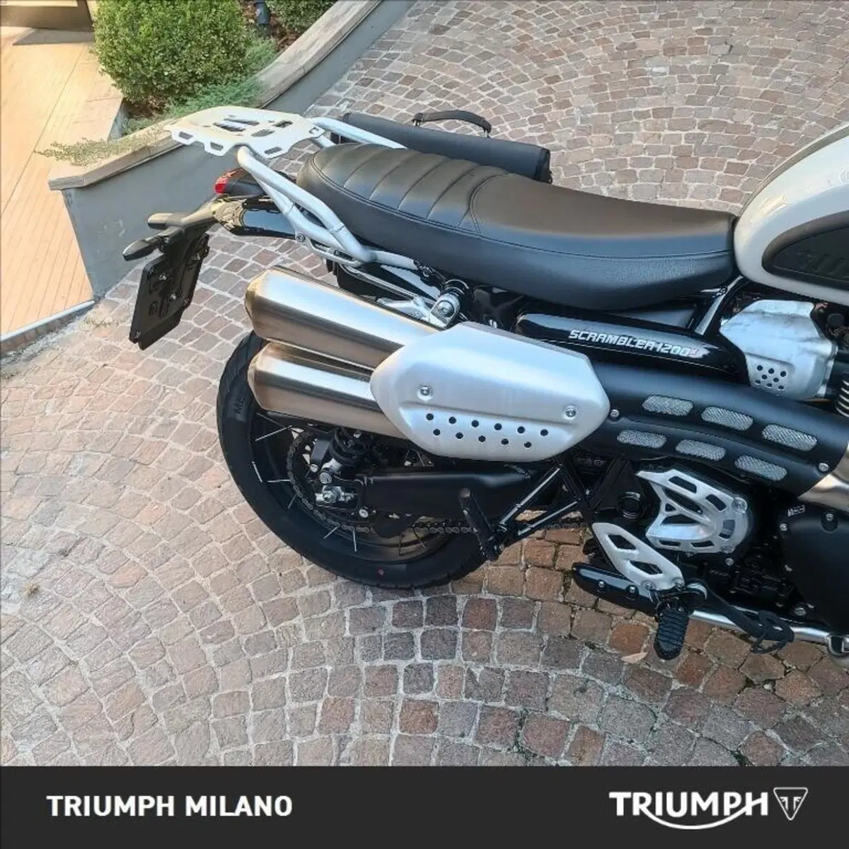 Triumph Scrambler 1200 X (2024 - 26) (2)