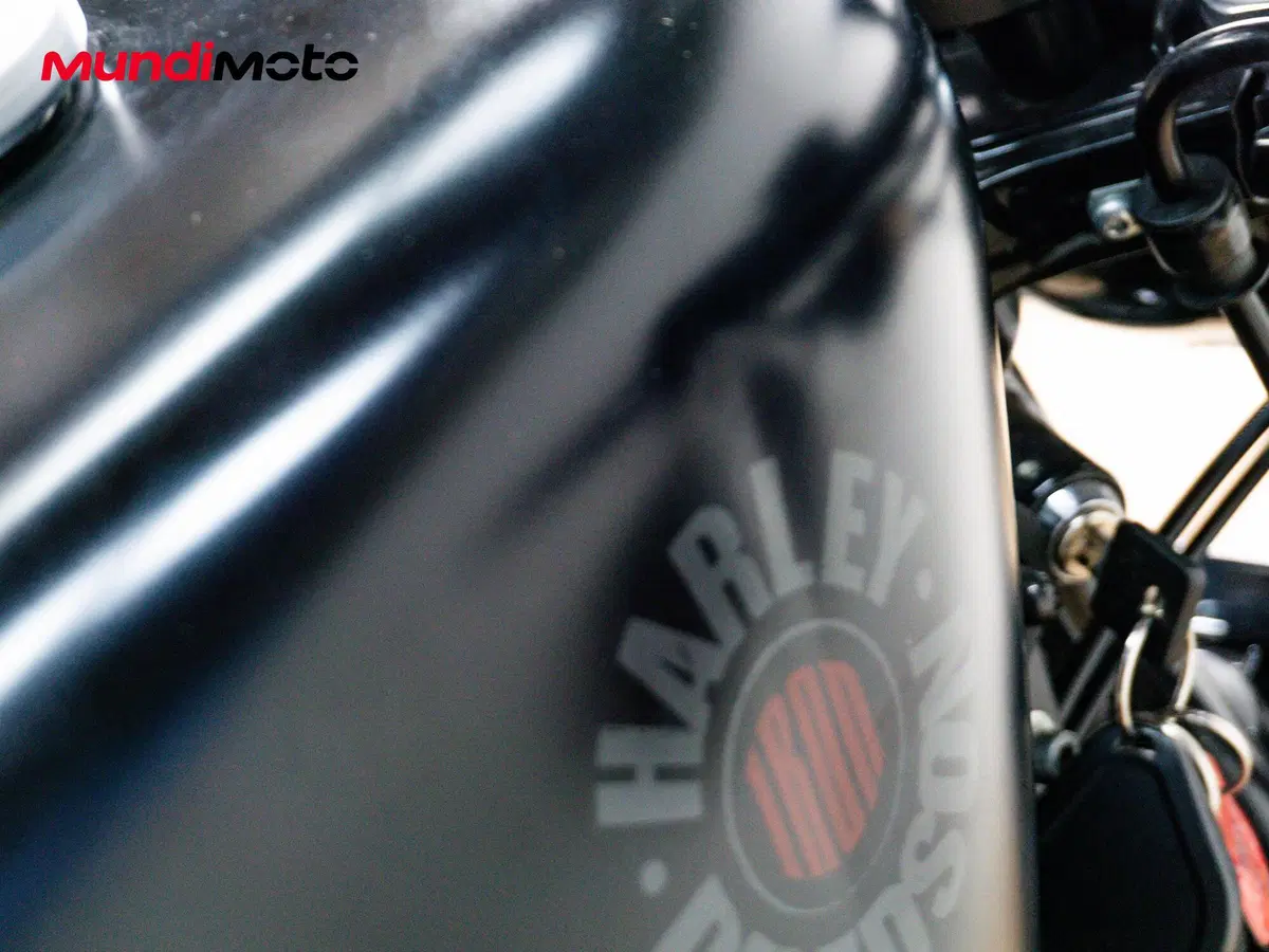 Harley-Davidson 883 Iron (2009 - 11) - XL 883N (13)
