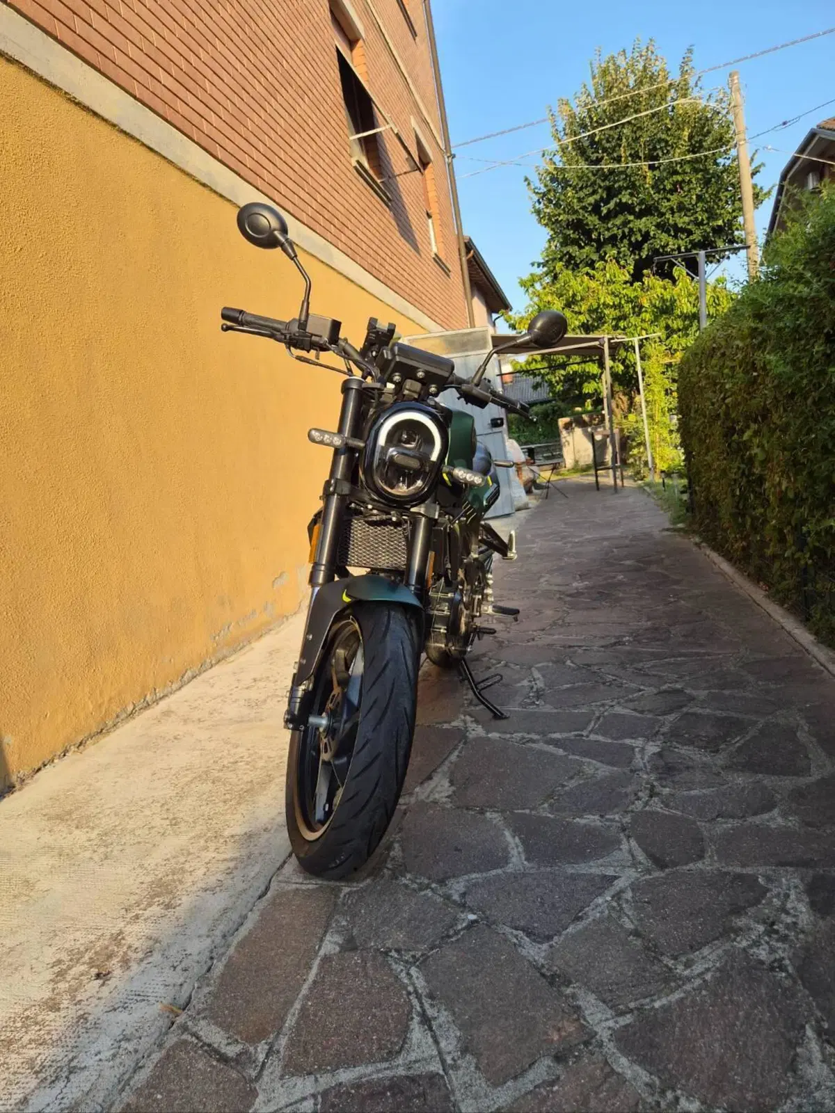 Benelli Leoncino 125 (2022 - 25) (4)