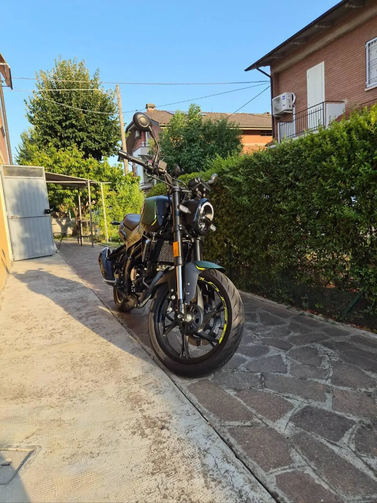 Benelli Leoncino 125 (2022 - 25) (6)