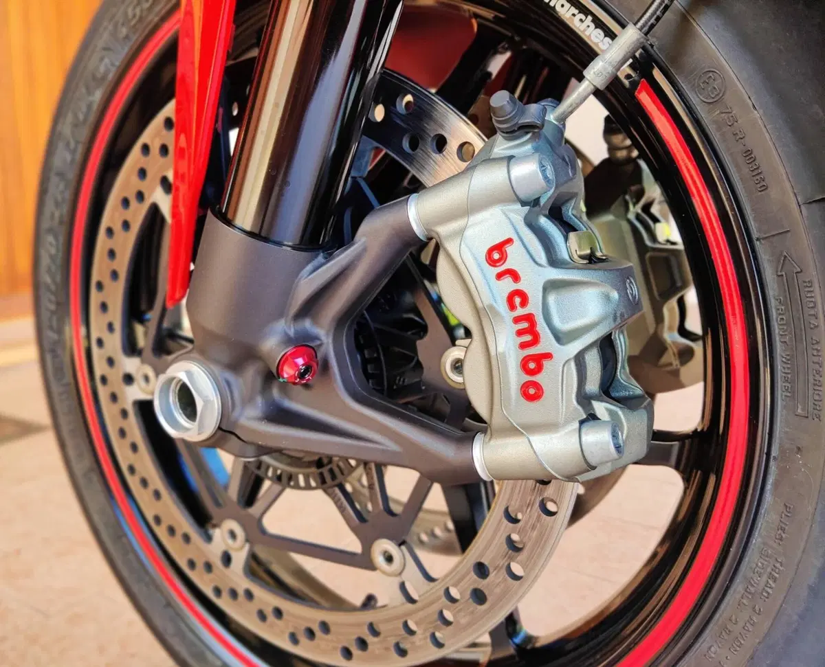 Ducati 1299 Panigale (2015 - 17) (5)