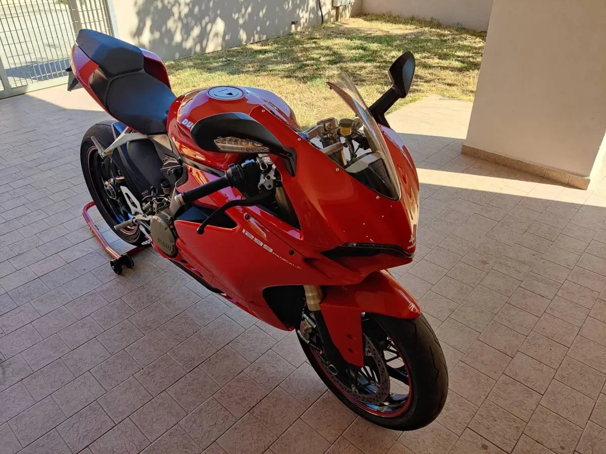Ducati 1299 Panigale (2015 - 17) (7)