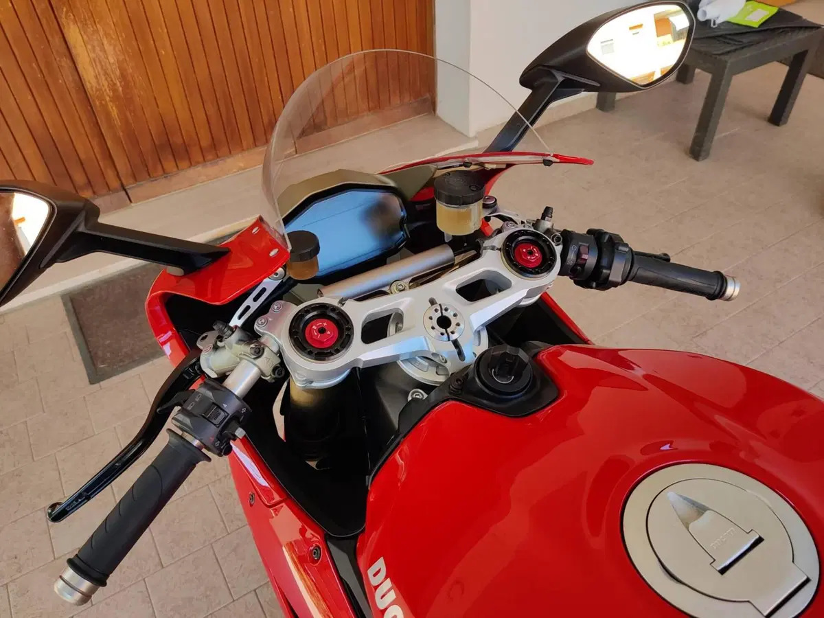 Ducati 1299 Panigale (2015 - 17) (9)