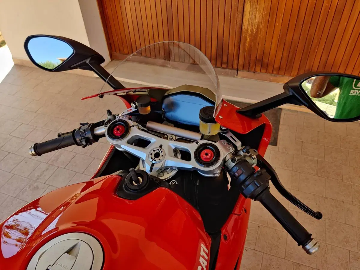 Ducati 1299 Panigale (2015 - 17) (10)