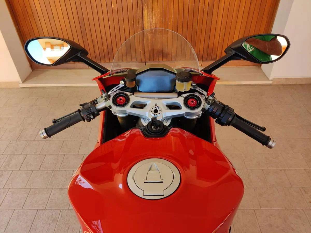 Ducati 1299 Panigale (2015 - 17) (11)