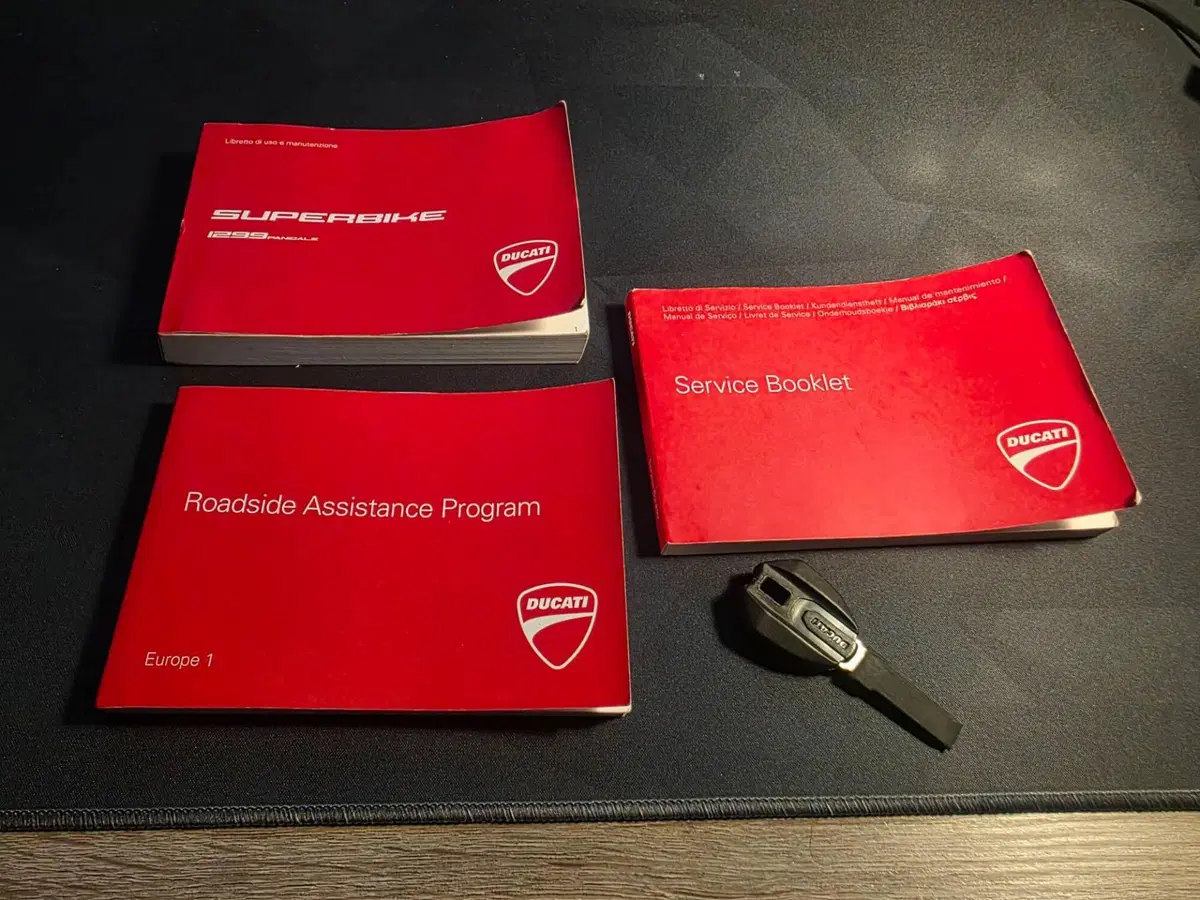 Ducati 1299 Panigale (2015 - 17) (6)