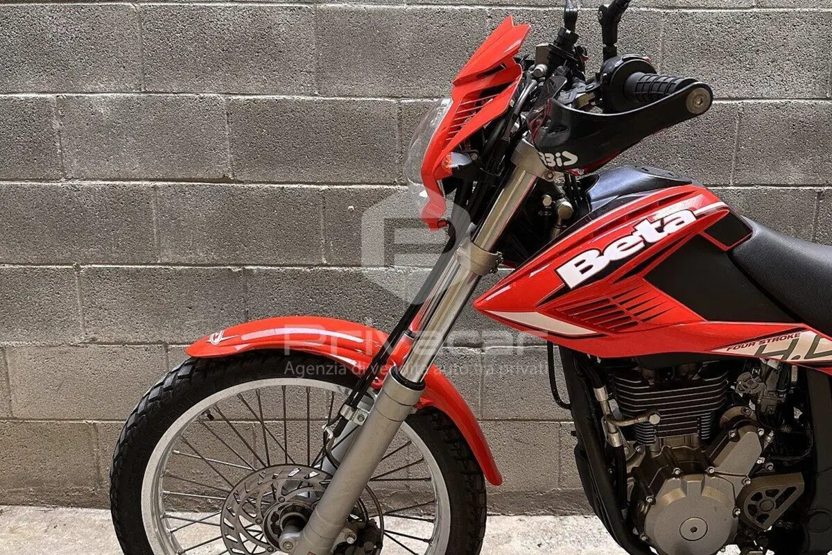 Betamotor Alp 4.0 (2008 - 17) (13)