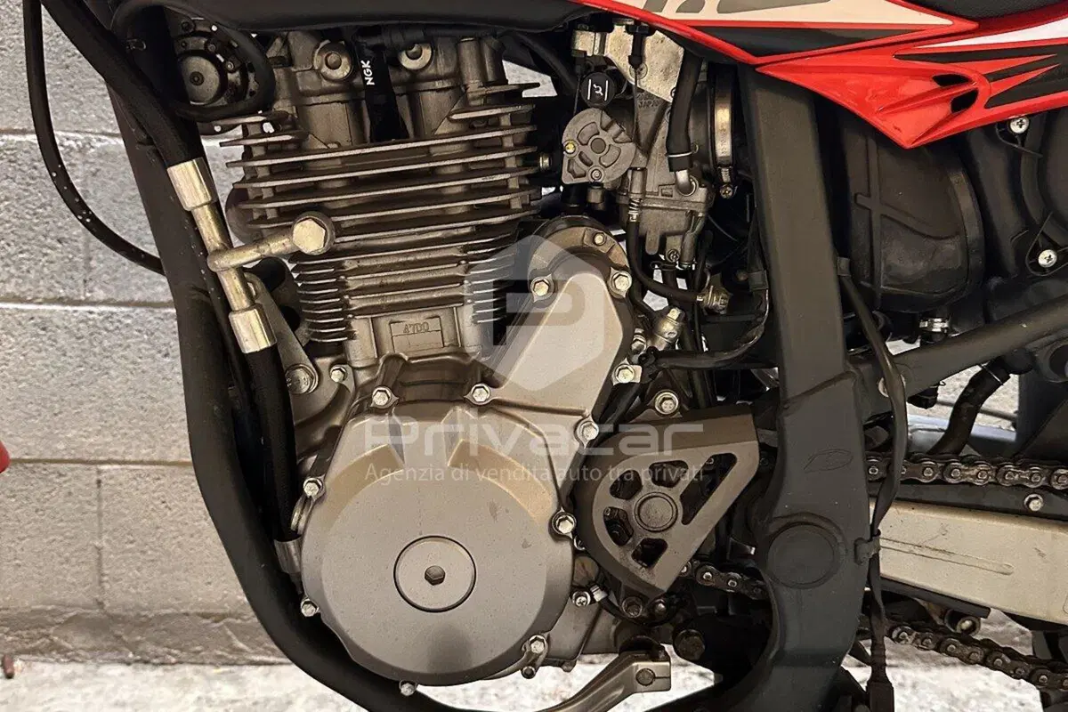 Betamotor Alp 4.0 (2008 - 17) (14)