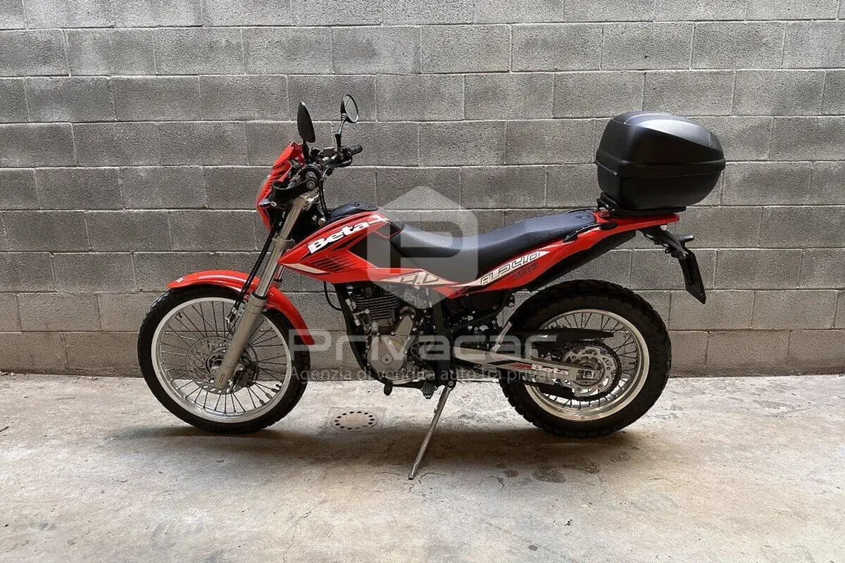 Betamotor Alp 4.0 (2008 - 17) (5)