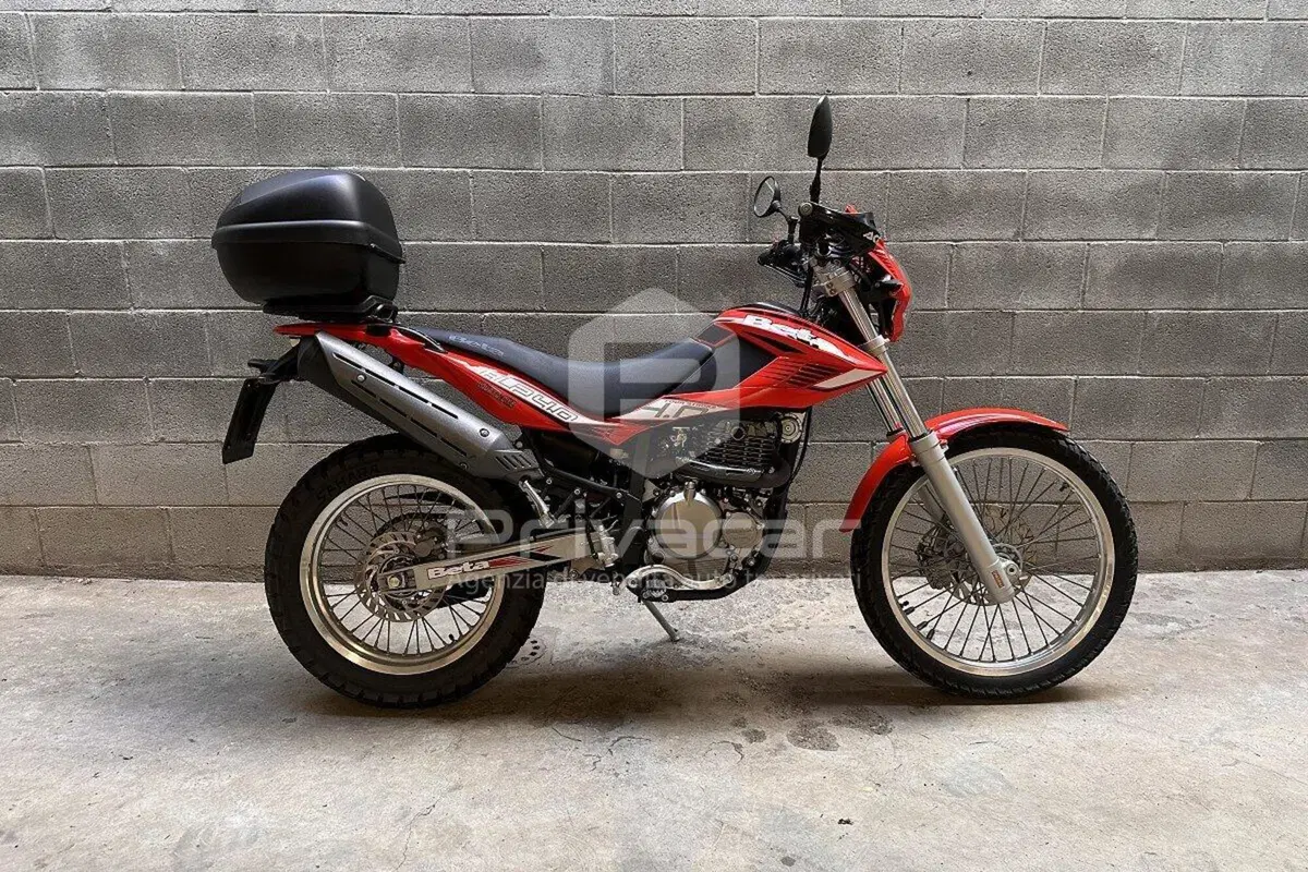 Betamotor Alp 4.0 (2008 - 17) (6)