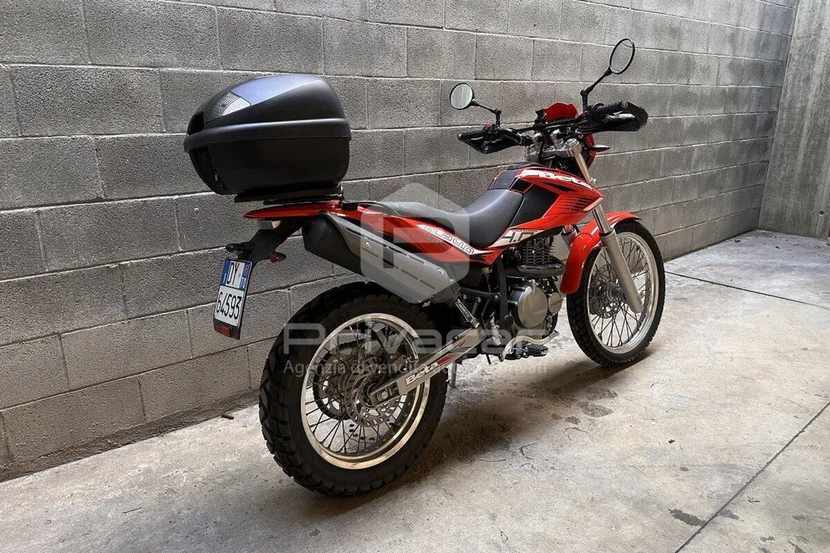Betamotor Alp 4.0 (2008 - 17) (3)