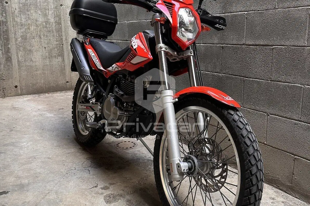 Betamotor Alp 4.0 (2008 - 17) (12)