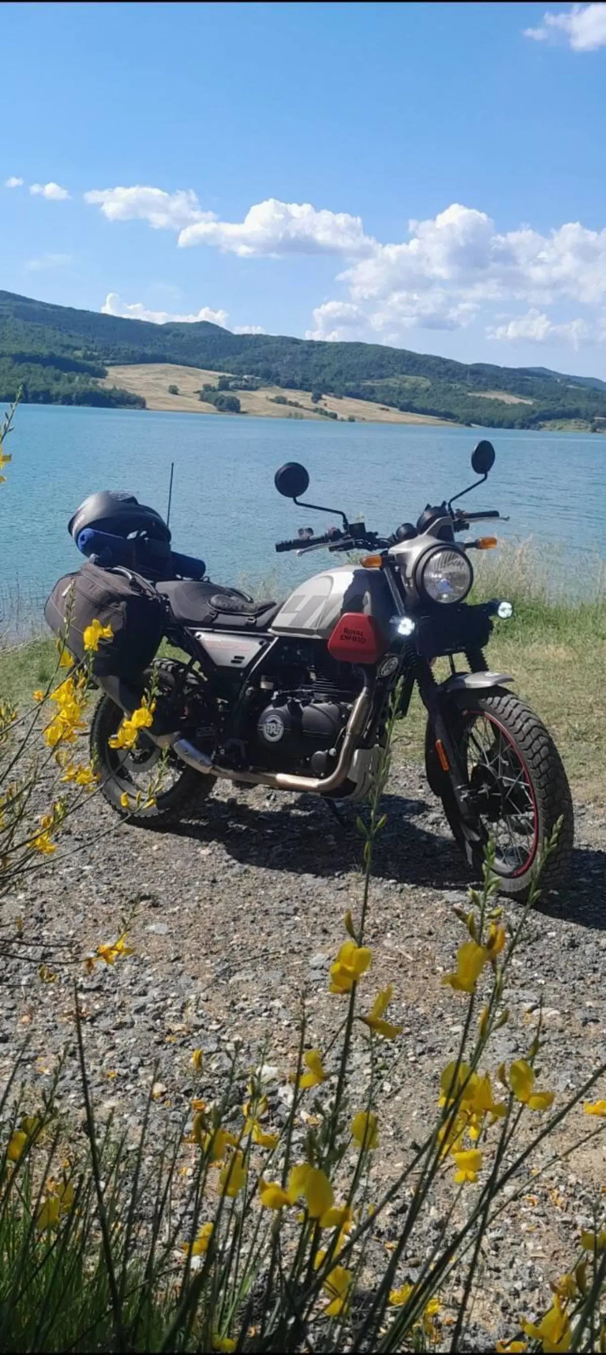 Royal Enfield Scram 411 (2022 - 24)