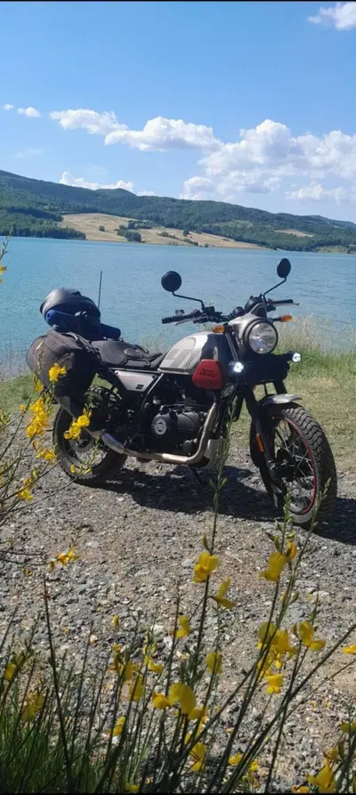 Royal Enfield Scram 411 (2022 - 24) usata
