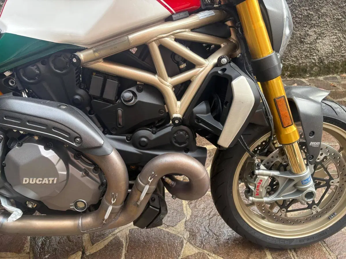 Ducati Monster 1200 25° Anniversario (2018 - 19) (3)