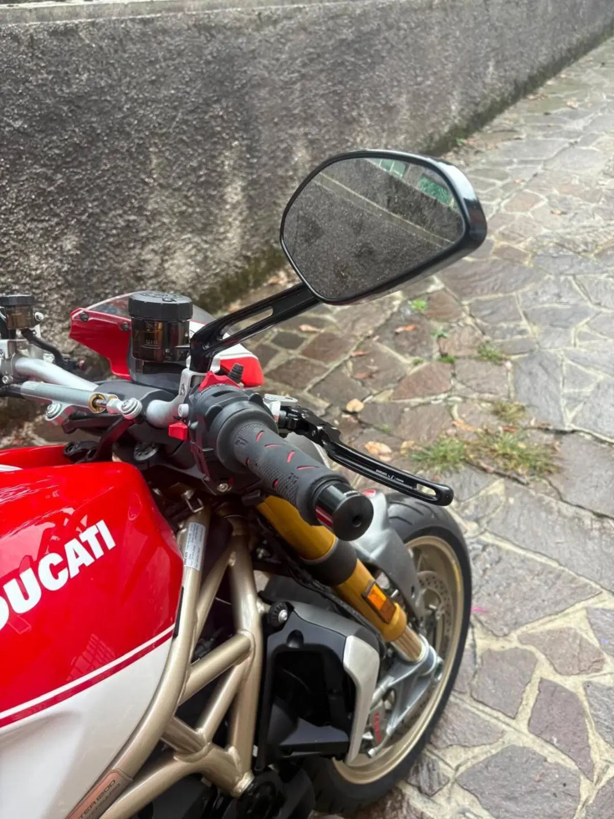 Ducati Monster 1200 25° Anniversario (2018 - 19) (6)