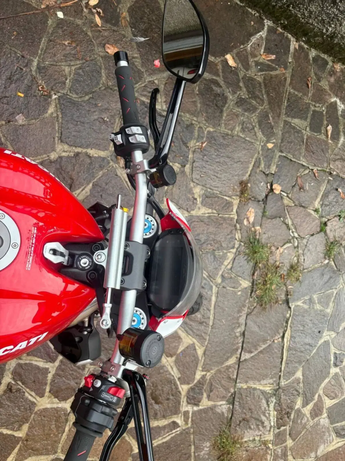 Ducati Monster 1200 25° Anniversario (2018 - 19) (7)