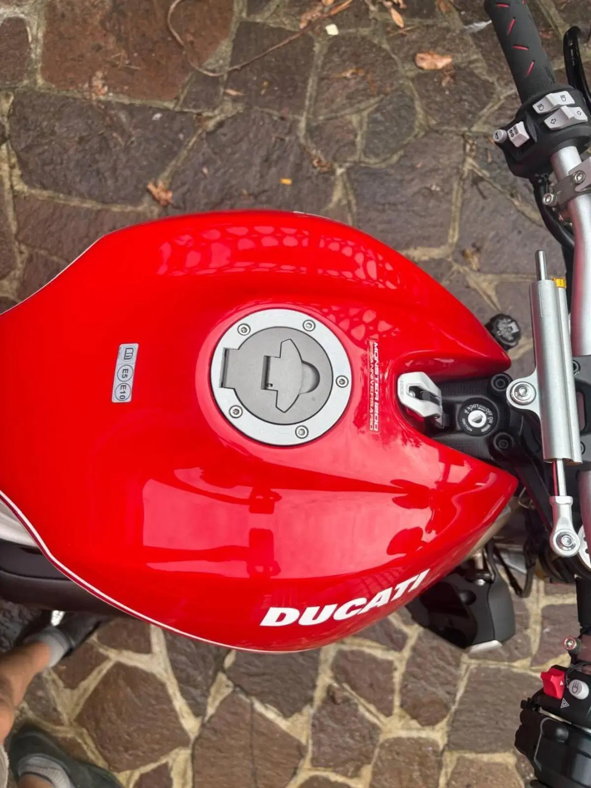 Ducati Monster 1200 25° Anniversario (2018 - 19) (8)